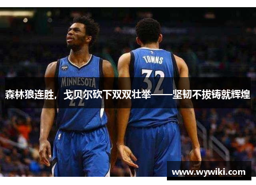 森林狼连胜，戈贝尔砍下双双壮举——坚韧不拔铸就辉煌
